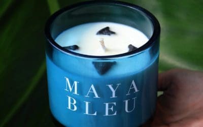 Product of the Month: Maya Bleu Shark Candles
