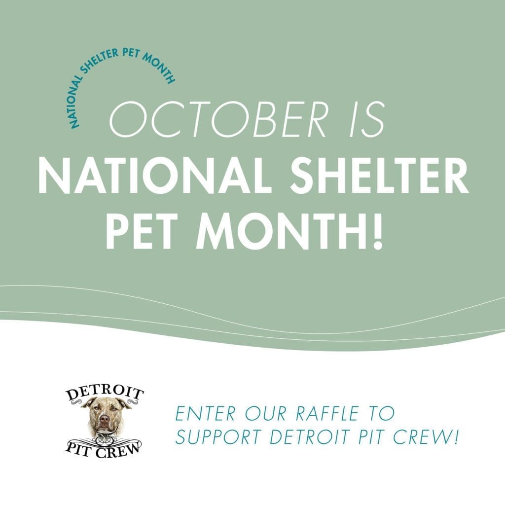 October is National Shelter Pet Month