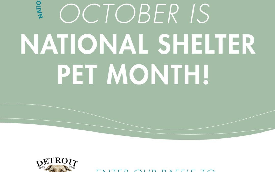 October is Shelter Pet Month